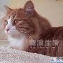 静静忍饥挨饿的日子 动物世界