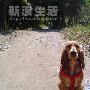 英卡糖糖周末郊游 动物世界