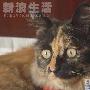 我家周咪有新故事了 动物世界
