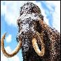 猛犸（Mammuthus）【古哺乳动物-兽亚纲】 动物世界