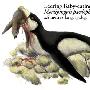 企鹅目（Sphenisciformes）【古鸟类始-今鸟亚纲】 动物世界