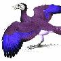 始祖鸟属（Archaeopteryx）【古鸟类始-古鸟亚纲】 动物世界