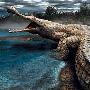 在非洲发现的巨型鳄鱼化石【古爬行类动物】 动物世界