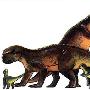 蒙古鹦鹉嘴龙(Psittacosaurus mongoliensis)【恐龙-角龙亚目】 动物世界