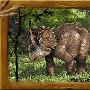 角龙科(Ceratopsidae)【恐龙-角龙亚目】 动物世界