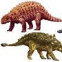 甲龙科(Ankylosauridae)【恐龙-甲龙亚目】 动物世界