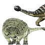 绘龙属(Pinacosaurus)【恐龙-甲龙亚目】 动物世界