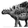 华阳龙属(Huayangosaurus)【恐龙-剑龙亚目】 动物世界