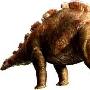 平坦乌尔禾龙(Wuerhosaurus homheni）【恐龙-剑龙亚目】 动物世界