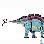 乌尔禾龙属(Wuerhosaurus）【恐龙-剑龙亚目】 动物世界