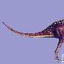 异齿龙科（Heterodontosauridae）【恐龙-鸟脚亚目】 动物世界