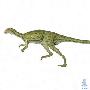 兰氏灵龙（Agilisaurus louderbacki）【恐龙-鸟脚亚目】 动物世界
