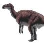 阿拉善原巴克龙（Probactrosaurus alashanicus）【恐龙--鸟脚亚目】 动物世界