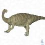 许氏禄丰龙（Lufengosaurus huenei）【恐龙-蜥脚形亚目】 动物世界