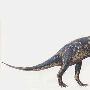 中国近蜥龙（兀龙）Anchisaurus（Gyposaurus）【恐龙-蜥脚形亚目】 动物世界