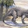 金沙江龙（Chinshakiangosaurus）【恐龙-蜥脚形亚目】 动物世界