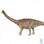 武定昆明龙（Kunmingosaurus wudingensis）【恐龙-蜥脚形亚目】 动物世界