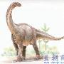 蜀龙（Shunosaurus）【恐龙-蜥脚形亚目】 动物世界
