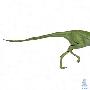 亚洲古似鸟龙（Archaeornithomimus asiatiicus）【恐龙-兽脚亚目】 动物世界
