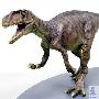 古似鸟龙（Archaeornithomimus）【恐龙-兽脚亚目】 动物世界