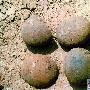 公路施工发现“恐龙蛋”工人主动上交博物馆【恐龙蛋】 动物世界