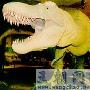 世界最大的食肉恐龙【恐龙的珍闻轶事】 动物世界