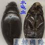 有趣的水中甲虫－水龟虫【千奇百怪说甲虫】 动物世界