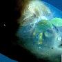 头部透明的桶眼鱼【10种奇美透明动物】 动物世界