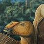 Gryposaurus monumentensis：植物粗齿锯【恐龙时代最致命七大物种】 动物世界