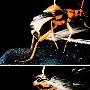 投弹手甲虫喷射沸腾毒液【九种动物自卫绝招】 动物世界