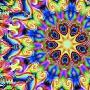鸽子：超强的色彩探测能力【六大奇特视觉动物】 动物世界