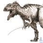 “Eocarcharia dinops”恐龙【七大最致命的恐龙】 动物世界