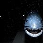 腔棘鱼【深海怪异生物展-英国国家自然博物馆举办“深渊”主题展览】 动物世界