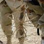 Camel Spider 驼蛛【沙漠生物】 动物世界