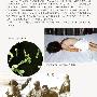 来自中医理论的启示（二）【传染病】 动物世界