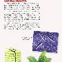 追踪比细菌还小的病原微生物（一）【传染病】 动物世界