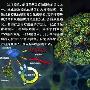 基因疗法（四）－永无止境的螺旋【DNA探索生命的螺旋】 动物世界