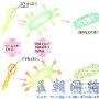 DNA改变了细菌的遗传－赫希和蔡斯的噬菌体实验【DNA与基因】 动物世界