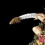 2010年十大新物种:德鲁斯真菌 动物世界