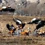 藏北草原上的珍稀侯鸟 动物世界