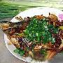 东坡鳊鱼之清蒸(图)－国内菜系