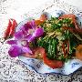 蚬肉炒韭菜花(图)－国内菜系