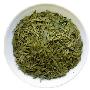 龙井茶不能用沸水泡－时尚饮品