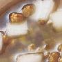 做清新爽口的冬瓜绿豆汤[图]－特色菜谱