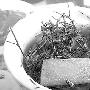 大厨推介祛湿靓汤[图]－特色菜谱