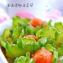 冰镇话梅腌苦瓜(图)－特色菜谱