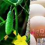 7种方法不伤身 一周减重4斤 减肥_美丽顾问