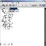 使用IntraWeb进行Web编程(二)