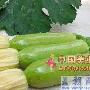 蔬菜减肥法 减肥_美丽顾问