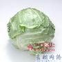 卷心菜减肥法 减肥_美丽顾问